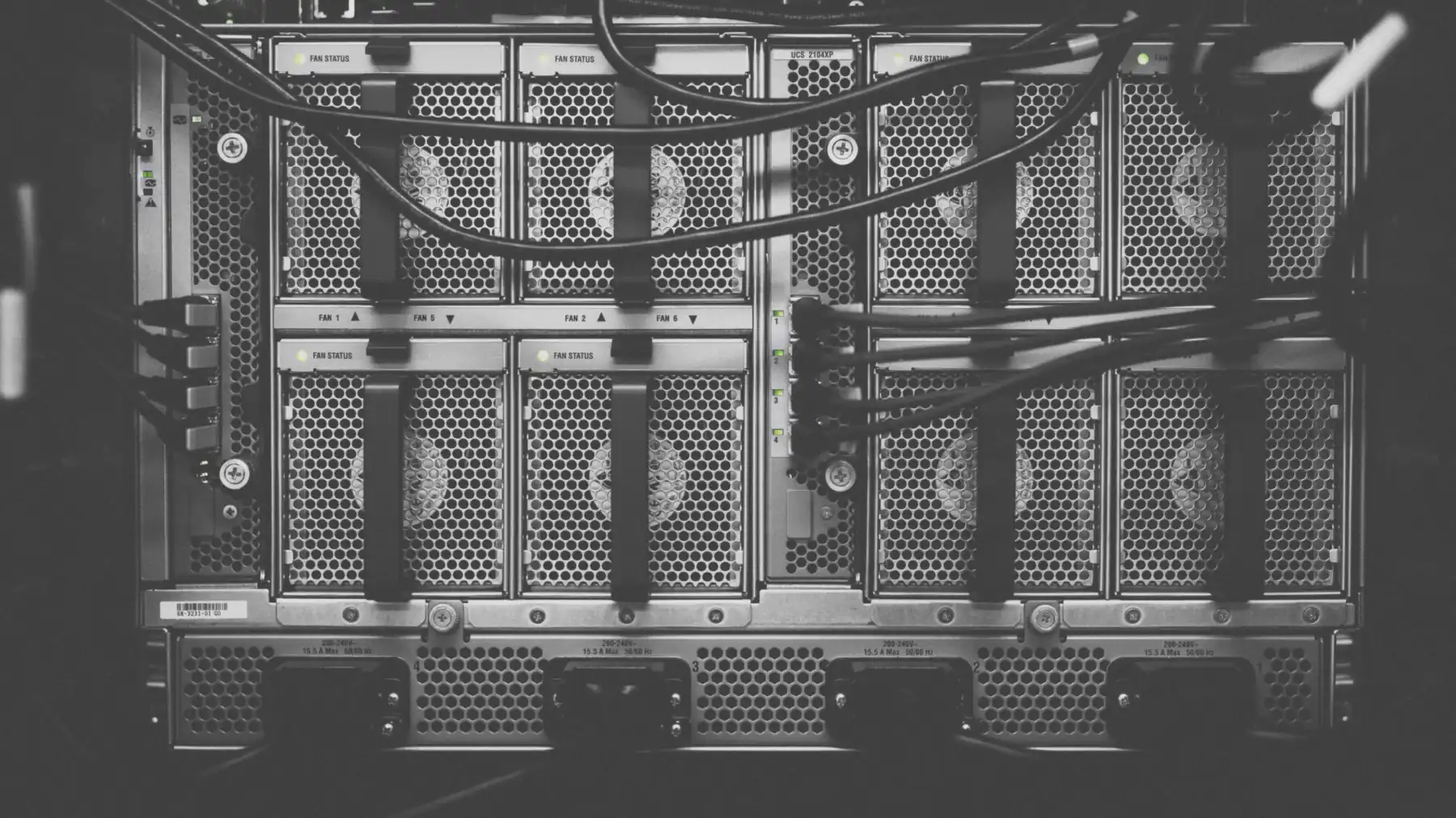 Close-up of server hardware and cabling